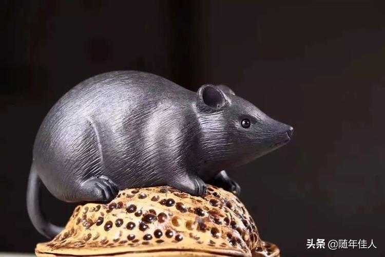 胆小如鼠打一准确生肖详细解答、详细解答解释落实