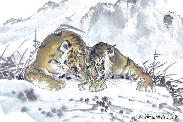 激流勇退打一正确生肖，详细解答、构建解答解释落实