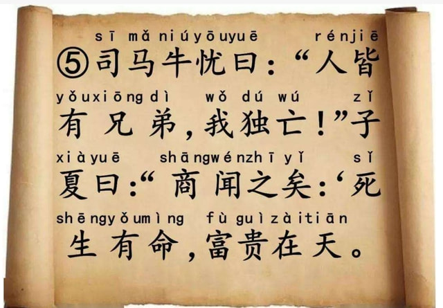 生死有命，毋須防備，何妨好食又懶飛打一生肖全面释义、科学解答解释落实